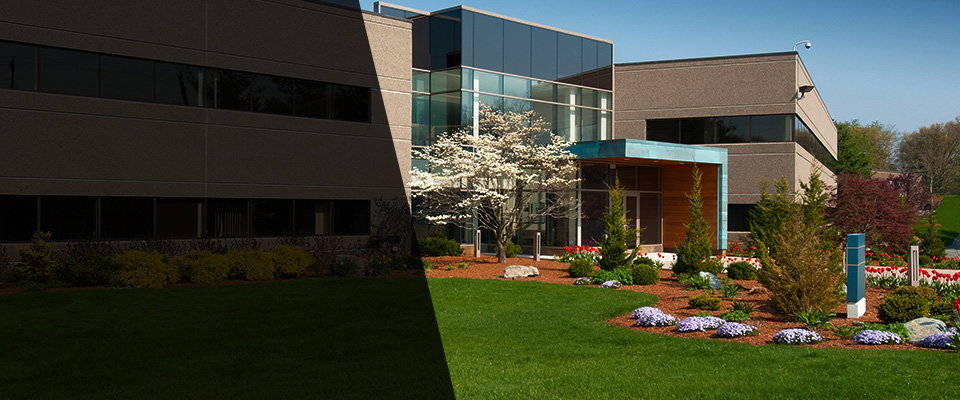 Williston Park Landscapers