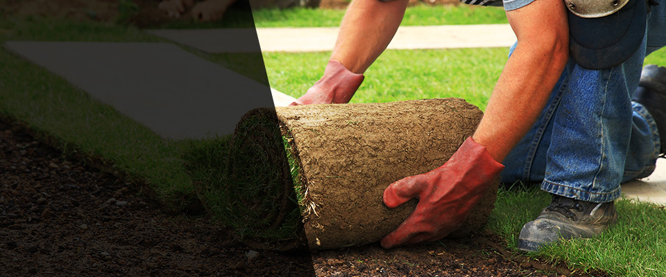 Williston Park Landscapers